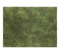 NOCH 07251 Tappeto erboso Cura del verde Verde oliva
