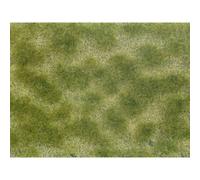 NOCH 07253 Tappeto erboso Cura del verde Verde, Beige