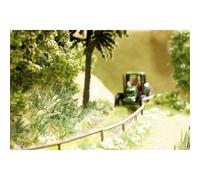 NOCH 14606 scala N minis Laser - Cut ®, felce