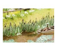 NOCH 14608 scala N minis Laser - Cut ® canne di palude