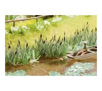 NOCH 14608 scala N minis Laser - Cut ® canne di palude