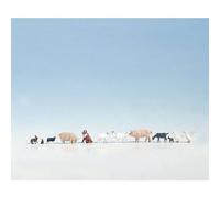 NOCH 15711 , H0 animali da fattoria