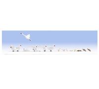 Noch 15774 - 16 Pre-verniciato Paperelle E Cigni Statuette 1/87th = H0/00 Scala