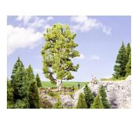 21641 NOCH SERIE PROFI HO/O BETULLA DOPPIO TRONCO ALT. 19 CM. scala HO 1:87