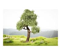 NOCH Micro-Motion Albero Con Altalena, Mobile Baumzubehör per Modellismo, 18,5