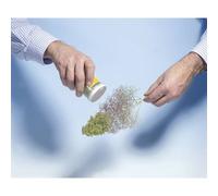 NOCH 23100 Albero vergine (senza fogliame) 1 pz.