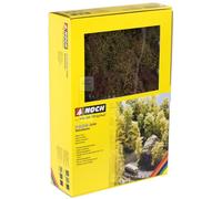 NOCH 23100 - Set per creare alberi naturali Teloxis aristata