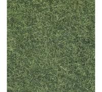 NOCH 7102 0 Erba selvatica Verde chiaro