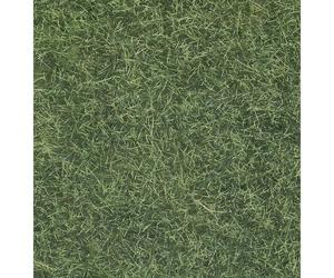 NOCH 7102 0 Erba selvatica Verde chiaro