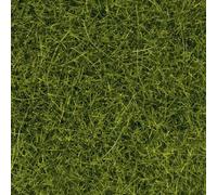 NOCH 7112 0 Erba selvatica KL Verde chiaro