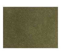 NOCH 7122 0 Erba selvatica Marrone