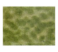 NOCH 7253 0 Tappeto erboso Cura del verde Verde, Beige