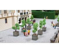 Noch Alberi ornamentali in vasche, 14013