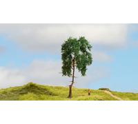 Noch- Albero Modello, Colore Verde, N20140