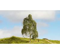Noch- Albero Modello, Colore Verde, 20120