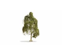 Noch- Albero Modello, Colore Verde, 20120