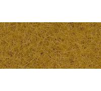 Noch Erba statica, NOCH-08362