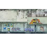 NOCH Pannello di cartone 3D "pareti industriali" con motivo graffiti, 25 x 12,5 cm, per scartamento H0, perfetto per scene urbane e modellismo