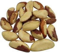 Noci Del Brasile Essiccate 40g - 1,95kg Bertholletia excelsa (460 grammi)