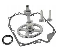 Nockenwelle compatibile con Briggs & Stratton B&S 793880 84005207 790400 792681 793583 790392