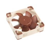 Noctua NF-A4x10 FLX Ventilatore 4 cm 3700 Giri/min 4500 NF-A4X10-FLX