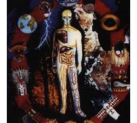 Nocturnal Emissions - Cathedral