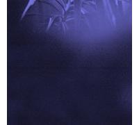 Nocturnal Journey