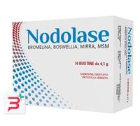 NODOLASE 14 BUSTINE