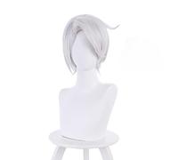 Noe Archiviste Cosplay Wig Anime The Case Study of Vanitas Vanitas no Karte Short Silver Hair Heat Resistant Hair Wigs +Wig Cap
