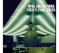 Noel Gallagher's high flying birds