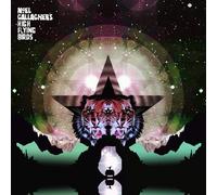 Noel Gallagher's High Flying Birds Black Star Dancing (Vinyl LP)