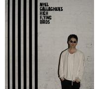 Noel Gallagher's High Flying Birds Chasing Yesterday (Vinyl LP) 12" Album
