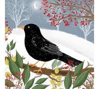 Noel Tatt Biglietti di Natale di beneficenza, confezione da 10 biglietti di auguri natalizi di alta qualità, con buste, merlo festivo nella neve, a sostegno di enti di beneficenza britannici