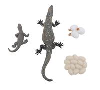 NOENNULL Set di Giocattoli Educativi Realistici per il Ciclo di Crescita della Lucertola per Bambini, Figure di Modelli di Rettili in PVC per L'apprendimento della Natura, 4 Pezzi per il Gioco