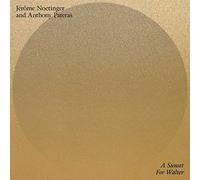 Noetinger Jerome & Pateras Anthony - PENULTIMATE PRES A Sunset For Walter