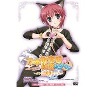 NOGIZAKA HARUKA NO HIMITSU FIN