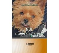 Noi, frammenti d'infinito - D'Aquino Patrizia