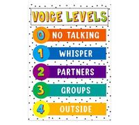 Noise Level Poster Voice Rules Classroom Chart Metal Tin Sign 8x12 Inch