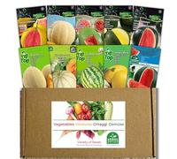 Nojus - Collezione di angurie e meloni 10 varietà di semi di frutta: Sugar Baby, Crimson Sweet, Honey Dew, Cantaloupe - Melone & Semi di anguria - Tirare l'anguria e i meloni stessi