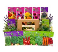 Nojus - Collezione di semi da giardino tedesca - 15 varietà - Semi di erbe aromatiche, ortaggi e fiori per orto domestico, aiuole rialzate, vasi da balcone - Scatola di semi - 15 confezioni