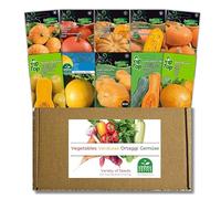 Nojus - Collezione di semi di zucca - 10 varietà di zucche giganti, moscate e decorative - Atlantic Giant, Muscat de Provence, Uchiki Kuri - Coltiva la tua zucca