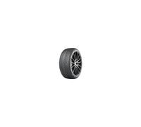 Nokian WR SNOWPROOF P 225/50 R18 99 V EXTRALOAD (2022)