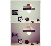 NOKXDKJWT Lampadario Moderno a LED, Piccola Luce a Testa Singola, plafoniera per Sala da Pranzo in Stile Nordico, Cavo Regolabile per Camera da Letto, Cucina, Soggiorno e corridoio