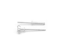 NOLDAR | Rivetti a Fiore in alluminio. 4,8 x 25 mm. Colore argento (250 pezzi)