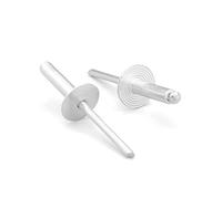 NOLDAR | Rivetti in alluminio con testa larga. 4,8 x 25 mm. Testa da 16 mm. Colore argento (100 pezzi)