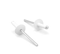 NOLDAR | Rivetti in alluminio con testa larga. 4,8 x 25 mm. Testa da 16 mm. Colore BIANCO (100 pezzi)