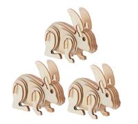 NOLITOY 3 Pezzi Diy Animal Model For And Adults Unfinished Assembly For Creative Coloring And Family Bonding Activities