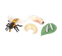 NOLITOY Ciclo di Crescita di Educativo in Materiale Durevole Design Realistico e Dettagliato per Scuole e Musei Scientifici Strumento Didattico