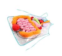 NOLITOY Grembiule Educativo Anatomia Umana per Rappresentazione Interattiva Organi Interni Grembiule Prescolare per Insegnamento Scuola Infanzia e Apprendimento Manuale