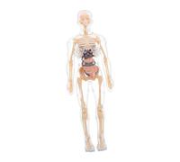 NOLITOY Modello Anatomico Corpo per Organi Rimovibili Puzzle Educativo per Apprendimento Scientifico Kit Didattico Interattivo per Studio Anatomia e Fisiologia